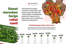 siasat-meredam-harga-cabai-rawit