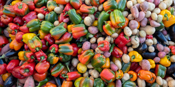 why-european-households-throw-away-so-much-food-–-and-how-to-curb-the-waste-mountain