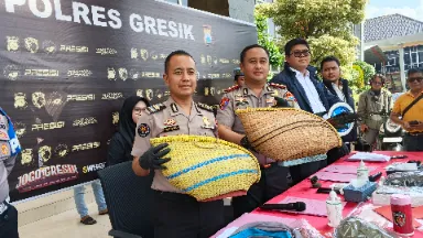 Polisi Gerebek Judi Sabung Ayam di Gresik, Enam Orang Diamankan