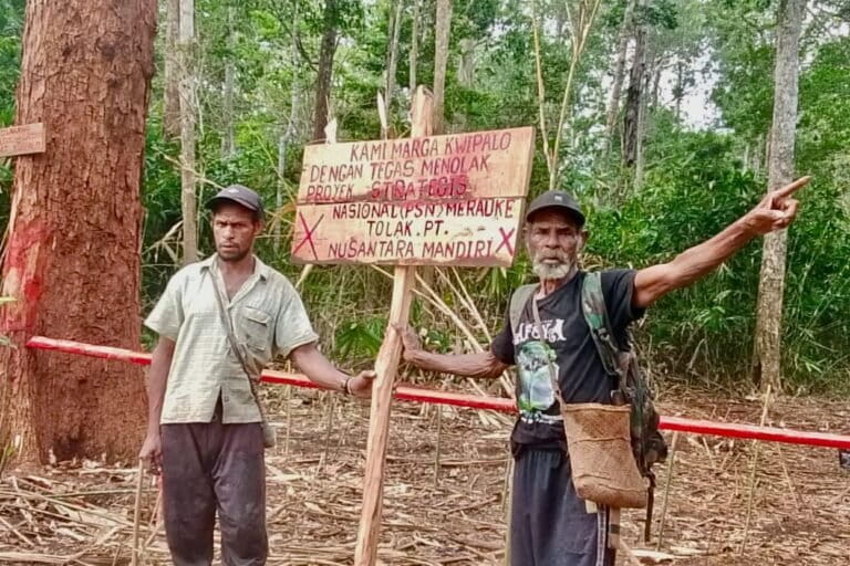 opini:-pesta-babi,-merauke,-dan-ujian-kebijakan-publik