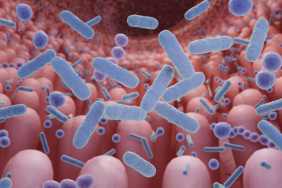 gut-health:-why-food-alone-won’t-fix-childhood-stunting