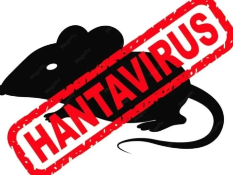 3-dari-23-orang-terinfeksi-hantavirus-di-indonesia-meninggal-dunia,-pdnu:-perlu-penanganan-serius