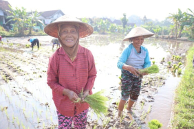 pentingnya-inovasi-teknologi-untuk-adaptasi-krisis-iklim-kelompok-rentan