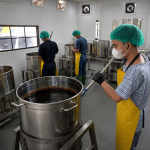 teknologi-produksi-modern-membuat-palm-sugar-lebih-higienis-dan-praktis