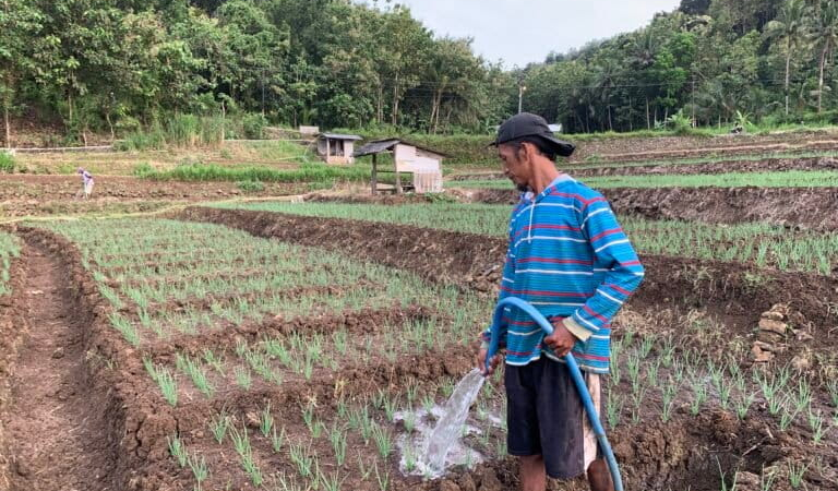 embung-hujan,-cara-petani-bantul-hadapi-kekeringan