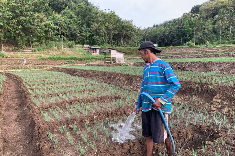 embung-hujan,-cara-petani-bantul-hadapi-kekeringan