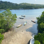 pengembangan-kawasan-ekonomi-khusus-berisiko-gerus-ekosistem-mangrove-bali