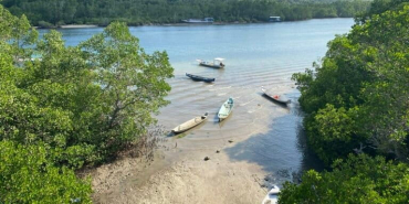 pengembangan-kawasan-ekonomi-khusus-berisiko-gerus-ekosistem-mangrove-bali