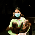 perempuan-penjaga-satwa-liar-di-jantung-hutan-kalimantan