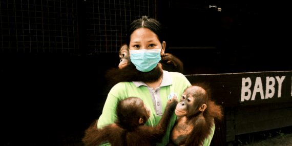 perempuan-penjaga-satwa-liar-di-jantung-hutan-kalimantan