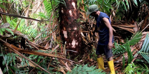 refleksi-di-hari-kehati:-kekayaan-pangan-lokal-terabaikan-di-tengah-keterancaman