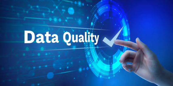 Data Quality Sagara: Fondasi yang Membuat Perusahaan Besar Merasa Aman