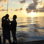 the-network-watching-the-world’s-oceans-is-under-pressure-–-just-when-it’s-needed-most