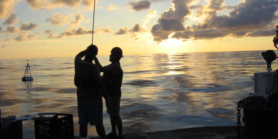 the-network-watching-the-world’s-oceans-is-under-pressure-–-just-when-it’s-needed-most