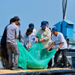 seskab:-presiden-yakini-potensi-ri-jadi-produsen-udang-unggulan-dunia