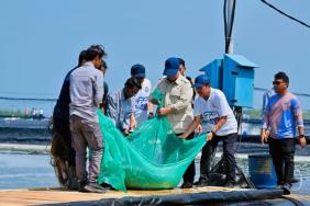 seskab:-presiden-yakini-potensi-ri-jadi-produsen-udang-unggulan-dunia