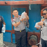 polda-sumbar-sita-ribuan-ikan-endemik-mentawai