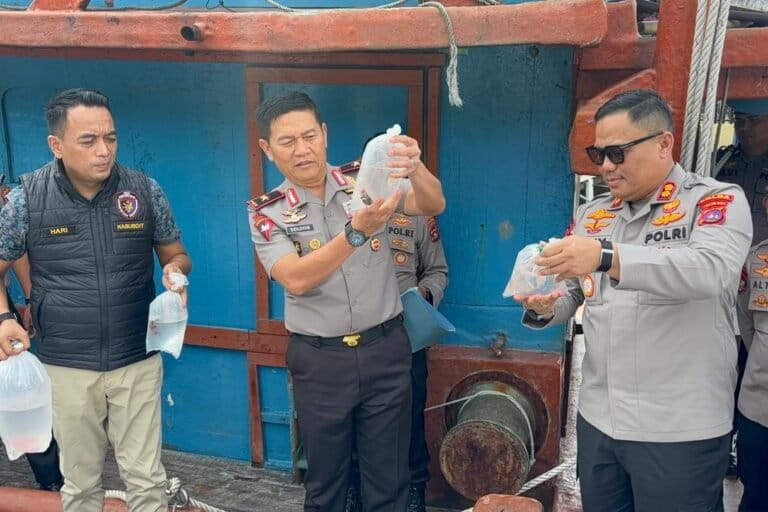 polda-sumbar-sita-ribuan-ikan-endemik-mentawai