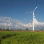 riset-oxford-ungkap-energi-paling-aman-di-dunia,-batu-bara-jadi-pembunuh-utama