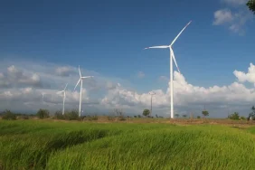riset-oxford-ungkap-energi-paling-aman-di-dunia,-batu-bara-jadi-pembunuh-utama