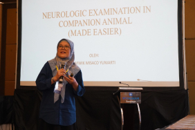 pakar-unair-soroti-kompleksitas-penyakit-neuro-dan-mata-pada-hewan-kecil