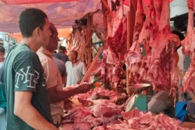 ketua-ansor-aceh-harap-harga-daging-bersahabat-jelang-meugang-idul-adha
