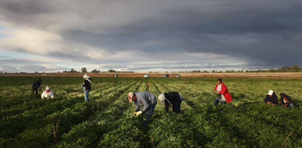 from-the-san-luis-valley-to-vail,-latino-labor-powers-every-sector-of-colorado’s-economy