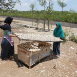 cerita-di-bulan-mei,-dari-danau-batur-sampai-teluk-weda