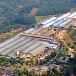ditagih-bei-soal-pp-ekspor-sda,-dsng-sebut-bisnis-sawit-aman
