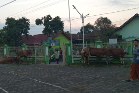 qurban:-ketika-akal-bersujud-kepada-wahyu