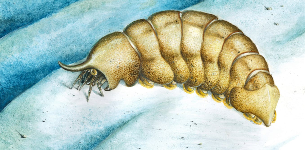 500-million-year-old-fossil-helps-fill-a-strange-gap-in-our-record-of-life-on-earth