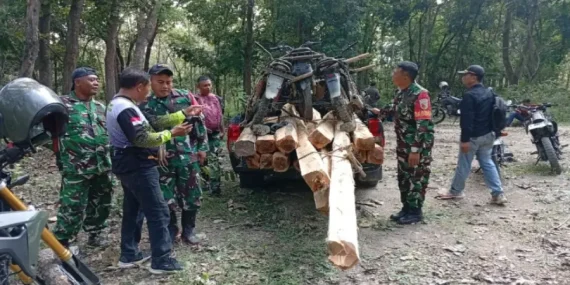 Babinsa dan Perhutani Gagalkan Pembalakan Liar di Hutan Jatirogo Tuban