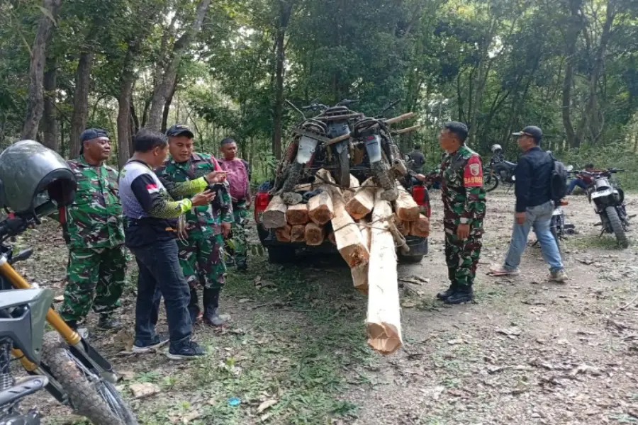 babinsa-dan-perhutani-gagalkan-pembalakan-liar-di-hutan-jatirogo-tuban