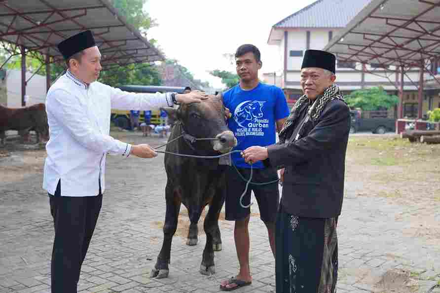 polres-bojonegoro-salurkan-22-sapi-dan-40-kambing-kurban-pada-idul-adha-1447-h
