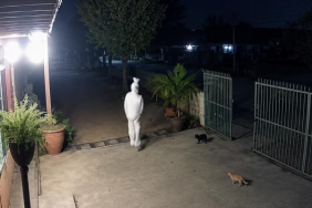 pocong,-hoaks,-dan-budaya-ketakutan