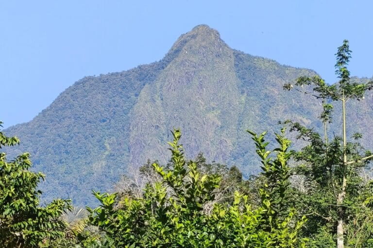 masyarakat-adat-meratus-tutup-gunung-halau-halau-demi-jaga-kesakralan