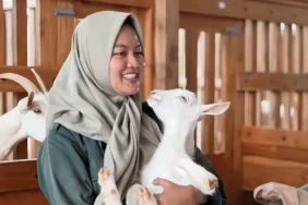 mila-arlinda-alumnus-ugm,-buktikan-peternakan-bisa-jadi-jalan-sukses