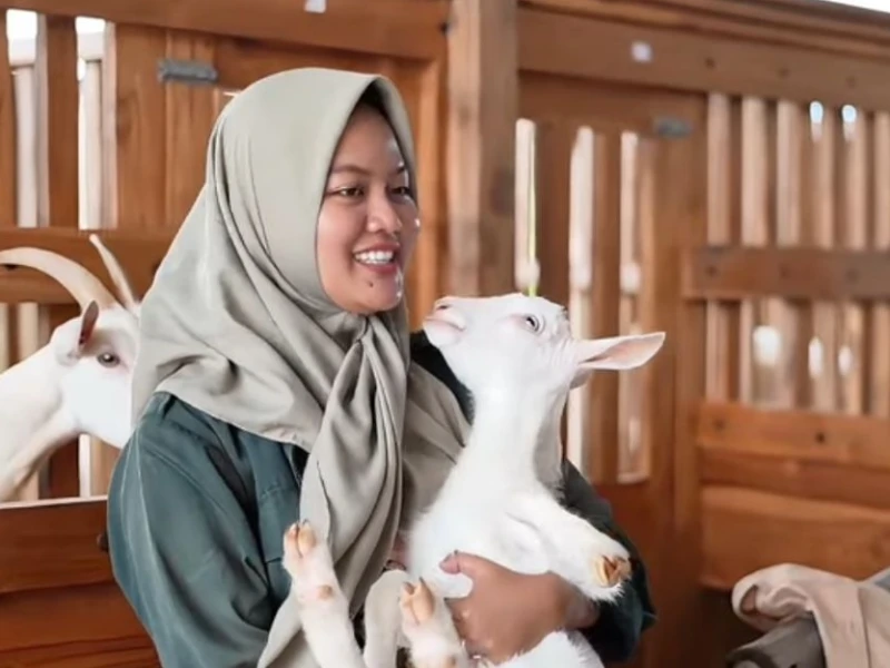mila-arlinda-alumnus-ugm,-buktikan-peternakan-bisa-jadi-jalan-sukses