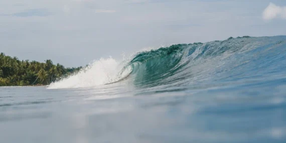 memperkuat-literasi-mitigasi-atas-ancaman-gempa-megathrust