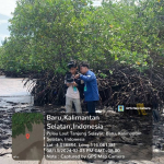 kabar-baik-dari-pesisir-kalimantan,-14-spesies-mangrove-ditemukan-tumbuh-subur-di-kotabaru