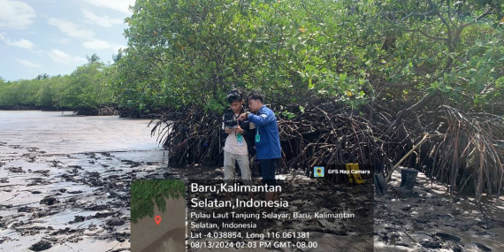 kabar-baik-dari-pesisir-kalimantan,-14-spesies-mangrove-ditemukan-tumbuh-subur-di-kotabaru