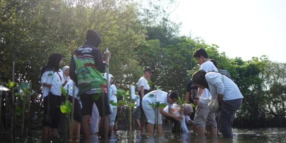 Tanam Mangrove dan Lepas Tukik di Pesisir Bantul