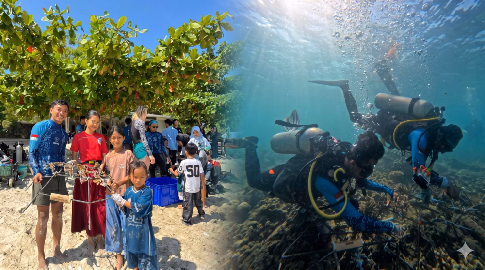 menghidupkan-kembali-terumbu-karang-di-teluk-ekas