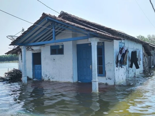 puluhan-rumah-terendam-akibat-banjir-rob-di-pati