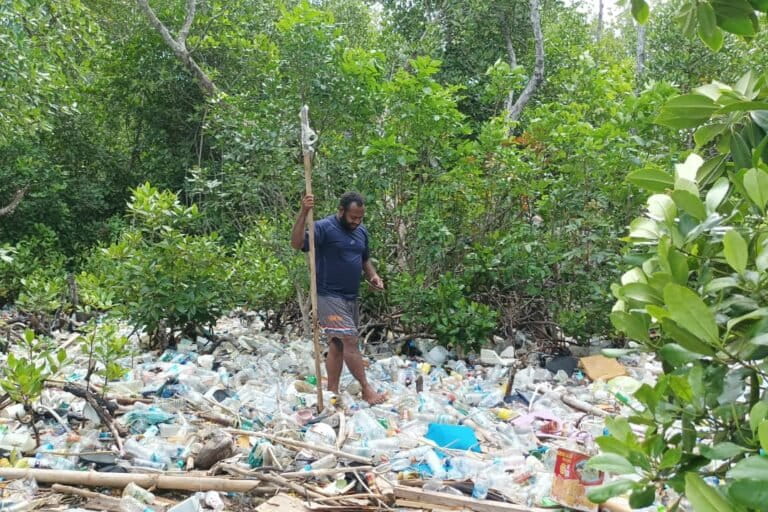 ketika-hutan-mangrove-teluk-youtefa-terus-tergerus