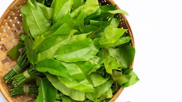 5-manfaat-daun-melinjo-untuk-ibu-hamil-dan-resep-mengolahnya
