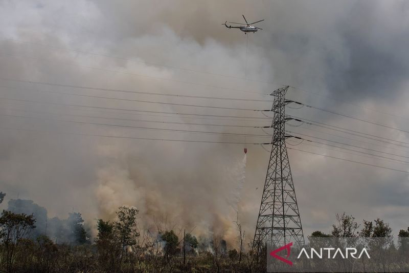bnpb-instruksikan-pemda-perketat-patroli-karhutla-petakan-sumber-air