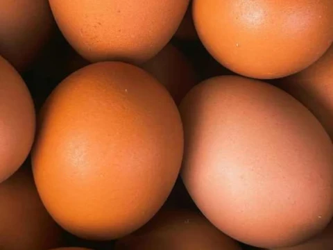 kajian-fiqih:-apakah-telur-harus-dicuci-sebelum-dimasak?