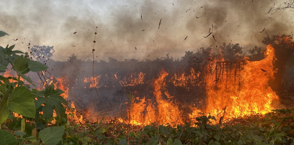 angola’s-long-war-changed-the-way-farmers-used-fire-–-why-it-matters