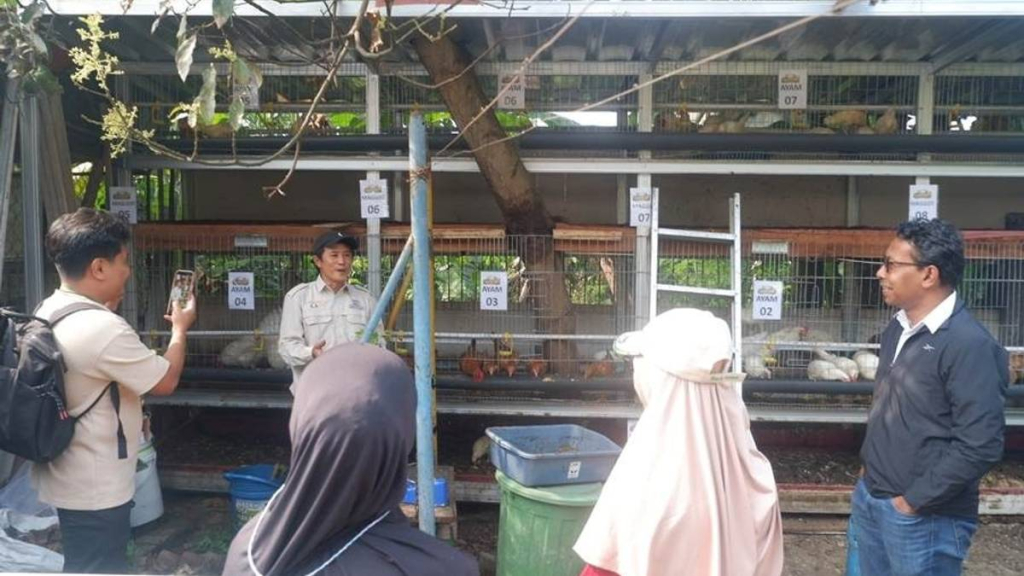 kenalan-dengan-apartemen-ayam-maggot-di-bandung-rancangan-dosen-itb